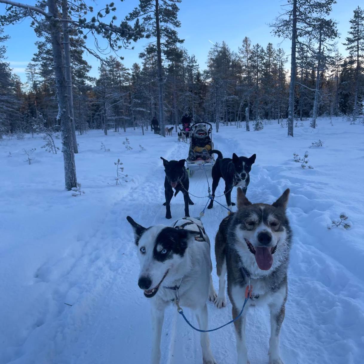 Saeterasen Hytter & Camping Trysil Ngoại thất bức ảnh