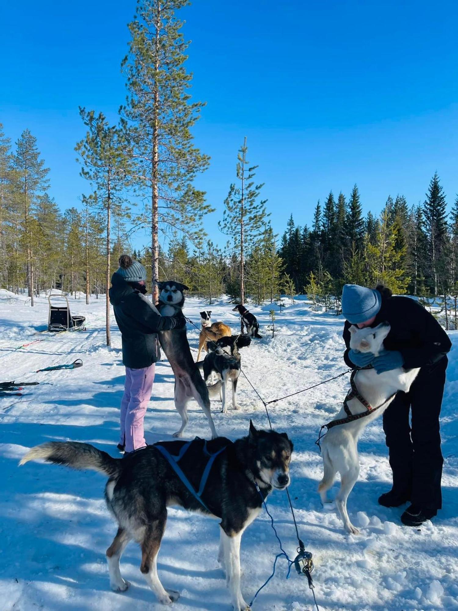 Saeterasen Hytter & Camping Trysil Ngoại thất bức ảnh