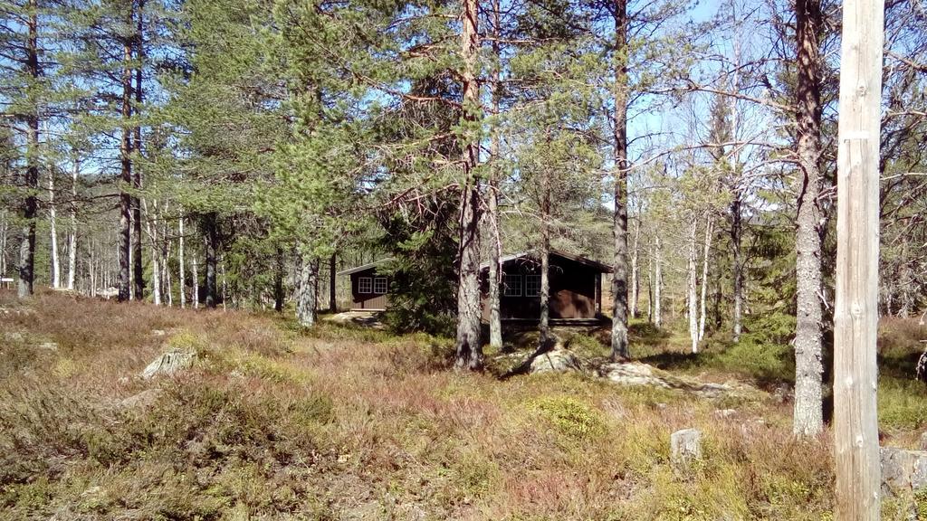 Saeterasen Hytter & Camping Trysil Ngoại thất bức ảnh