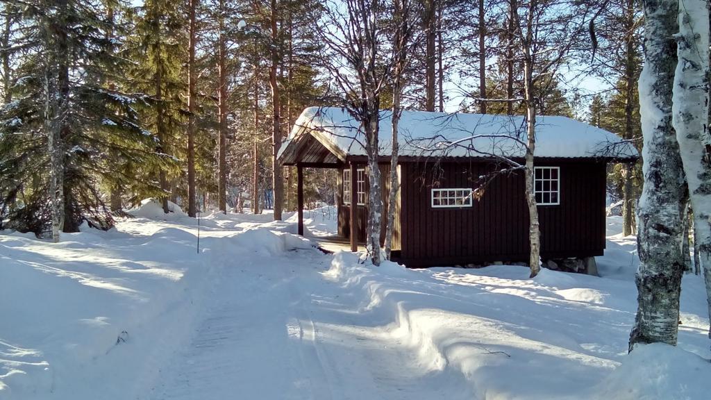 Saeterasen Hytter & Camping Trysil Ngoại thất bức ảnh