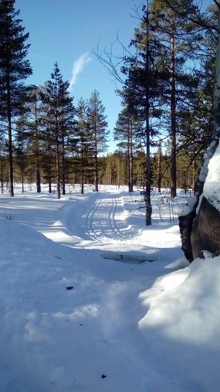 Saeterasen Hytter & Camping Trysil Ngoại thất bức ảnh